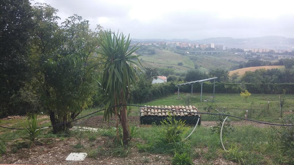 Le Querce Acomodação com café da manhã Ancona Exterior foto