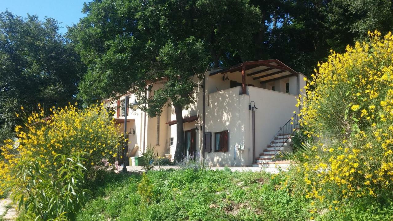 Le Querce Acomodação com café da manhã Ancona Exterior foto